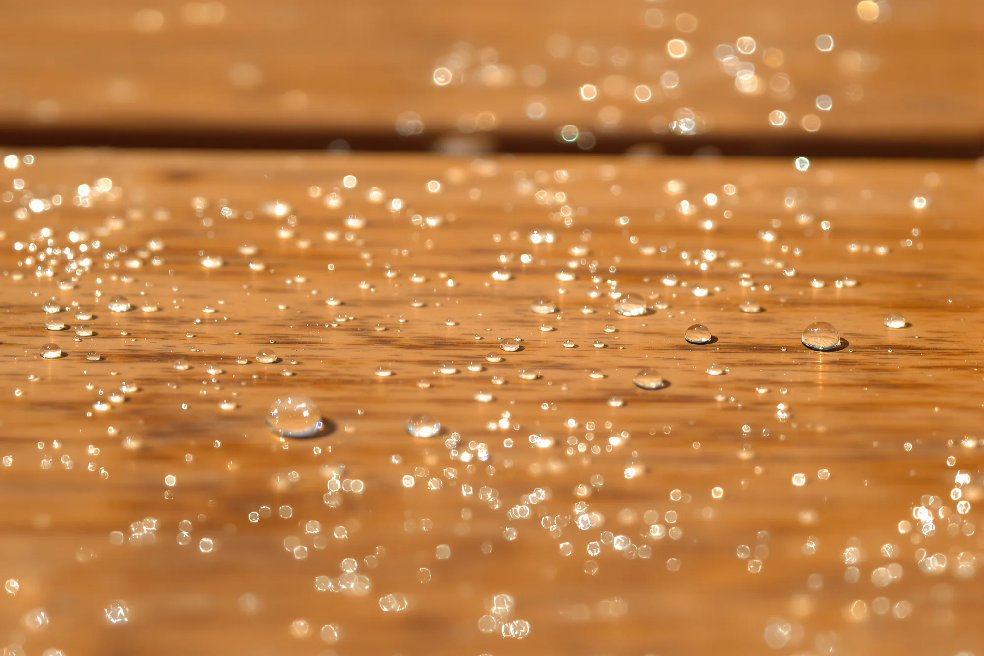 Water droplets beading on a freshly sealed and stained cedar deck board